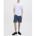 Product JJ REBEL  JREBJOE JJCRAFT SHORTS AT 760 SN thumbnail image