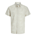 Product JJREBEL JREBVERDANT POPLIN SHIRT SS thumbnail image