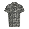 Product JJREBEL JREBVERDANT POPLIN SHIRT SS thumbnail image