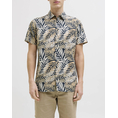 Product JJREBEL JREBVERDANT POPLIN SHIRT SS thumbnail image