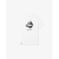 Product LACOSTE  ΜΠΛΟΥΖΑ ΚΜ thumbnail image