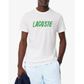 Product LACOSTE  ΜΠΛΟΥΖΑ ΚΜ thumbnail image