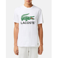 Product LACOSTE  ΜΠΛΟΥΖΑ ΚΜ TEE-SHIRT SS thumbnail image