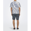 Product ONLY&SONS ONSZEKE LIFE REG WASHED SS AOP TEE thumbnail image