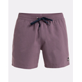 Product QUIKSILVER EVERYDAY SOLID VOLLEY 15 ΜΑΓΙΟ ΑΝΔΡΙΚΟ thumbnail image