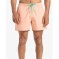 Product QUIKSILVER EVERYDAY SOLID VOLLEY 15 ΜΑΓΙΟ ΑΝΔΡΙΚΟ thumbnail image