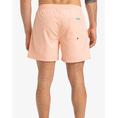 Product QUIKSILVER EVERYDAY SOLID VOLLEY 15 ΜΑΓΙΟ ΑΝΔΡΙΚΟ thumbnail image