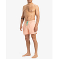 Product QUIKSILVER EVERYDAY SOLID VOLLEY 15 ΜΑΓΙΟ ΑΝΔΡΙΚΟ thumbnail image