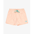 Product QUIKSILVER EVERYDAY SOLID VOLLEY 15 ΜΑΓΙΟ ΑΝΔΡΙΚΟ thumbnail image
