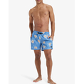 Product QUIKSILVER EVERYDAY STRAIGHT VOLLEY 15 ΜΑΓΙΟ ΑΝΔΡΙΚΟ thumbnail image