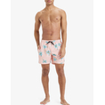 Product QUIKSILVER EVERYDAY STRAIGHT VOLLEY 15 ΜΑΓΙΟ ΑΝΔΡΙΚΟ thumbnail image