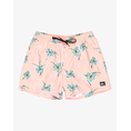 Product QUIKSILVER EVERYDAY STRAIGHT VOLLEY 15 ΜΑΓΙΟ ΑΝΔΡΙΚΟ thumbnail image