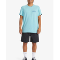 Product QUIKSILVER GRIMSHAW SHORT MEN'S BERMUDA thumbnail image