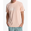 Product QUIKSILVER EV COMP LOGO SS T-SHIRT MEN thumbnail image