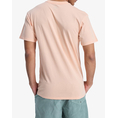 Product QUIKSILVER EV COMP LOGO SS T-SHIRT MEN thumbnail image