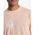 Product QUIKSILVER EV COMP LOGO SS T-SHIRT MEN thumbnail image