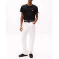 Product TOMMY JEANS TJM REG BADGE TEE EXT thumbnail image