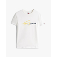 Product TOMMY JEANS TJM REG SIGNTR DNA TEE EXT thumbnail image