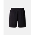 Product THE NORTH FACE M BOX NSE REGULAR SHORT thumbnail image