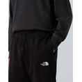 Product THE NORTH FACE M ESSENTIAL RELAXED SHO thumbnail image