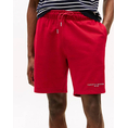 Product TOMMY HILFIGER SMALL TOMMY LOGO SWEATSHORTS thumbnail image