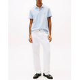 Product TOMMY HILFIGER PLACKET INTEREST REG POLO thumbnail image