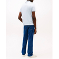 Product TOMMY HILFIGER TIPPED SLIM FIT SEASONAL POLO thumbnail image