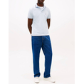 Product TOMMY HILFIGER TIPPED SLIM FIT SEASONAL POLO thumbnail image