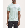 Product TOM TAILOR PRINTED T-SHIRT MEN thumbnail image