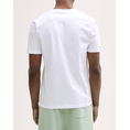 Product TOM TAILOR PRINTED T-SHIRT MEN thumbnail image