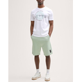 Product TOM TAILOR PRINTED T-SHIRT MEN thumbnail image