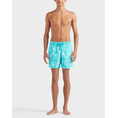 Product VILEBREQUIN SWIMWEAR thumbnail image
