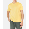 Product THE BOSTONIANS ESSENTIAL T-SHIRT REGULAR FIT thumbnail image