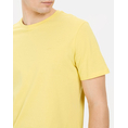 Product CAMEL T-Shirt SS Basic thumbnail image