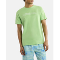 Product NAUTICA T-SHIRT SS Barna T-Shirt thumbnail image