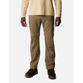 Product COLUMBIA Men's Silver Ridge™ Utility Convertible Pants thumbnail image