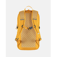Product FJALL RAVEN Abisko Softpack 16 / Abisko Softpack 16 (Dimensions: 24 x 45 x 16cm.) thumbnail image