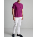 Product NAVY&GREEN POLO SHIRT SOL/COL, CUSTOM FIT thumbnail image