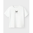 Product NAME IT NKFDANE SS NREG TOP BOX thumbnail image