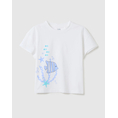 Product OVS SS SOLID 4/5COL PRINT thumbnail image