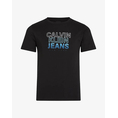 Product CALVIN KLEIN JEANS GRADIENT FLOCK LOGO SS T-SHIRT thumbnail image