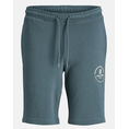 Product JACK&JONES JPSTSWIFT SWEAT SHORTS AUT SN JNR thumbnail image