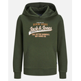 Product JACK&JONES JJELOGO SWEAT HOOD 2 COL 24/25 NOOS JNR thumbnail image