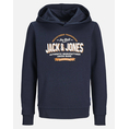 Product JACK&JONES JJELOGO SWEAT HOOD 2 COL 24/25 NOOS JNR thumbnail image