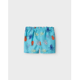 Product NAME IT NMMZEUS SWIM SHORTS TB thumbnail image