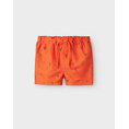 Product NAME IT NMMZEUS SWIM SHORTS TB thumbnail image