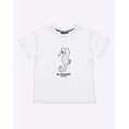 Product ALOUETTE SHIRT thumbnail image