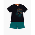 Product MINERVA PAJ.BOY.SKATE SHOW thumbnail image
