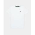 Product LACOSTE T-SHIRT SS thumbnail image
