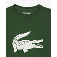 Product LACOSTE SS TEE-SHIRT thumbnail image